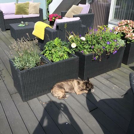 Brondums B & B Hjørring Екстериор снимка