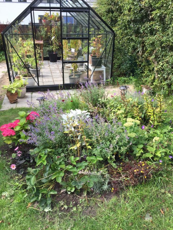 Brondums B & B Hjørring Екстериор снимка